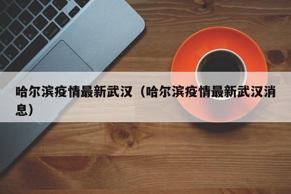 哈尔滨疫情最新武汉（哈尔滨疫情最新武汉消息）